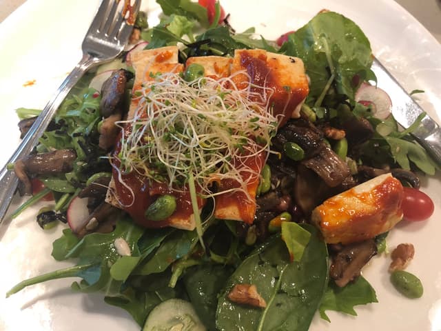 Photo of the dish “red miso tofu salad”