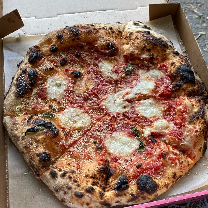 photo of Doctor Drooly Pizza Margherita shared by @elisgreenworld on  20 Jul 2022 - review