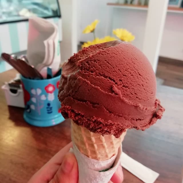Foto del plato “Helado de chocolate”
