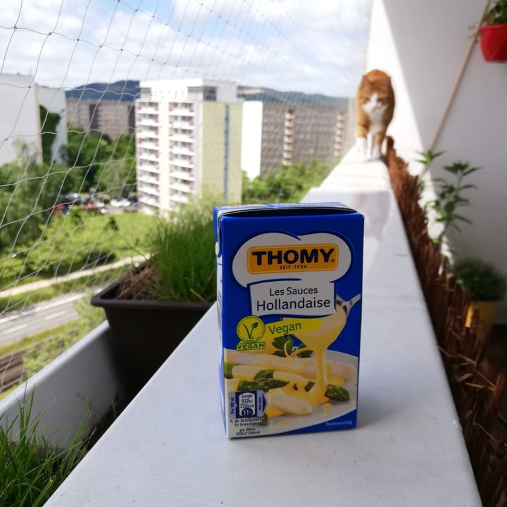 photo of Thomy Sauce Hollandaise shared by @mareikeks on  20 Jun 2021 - review
