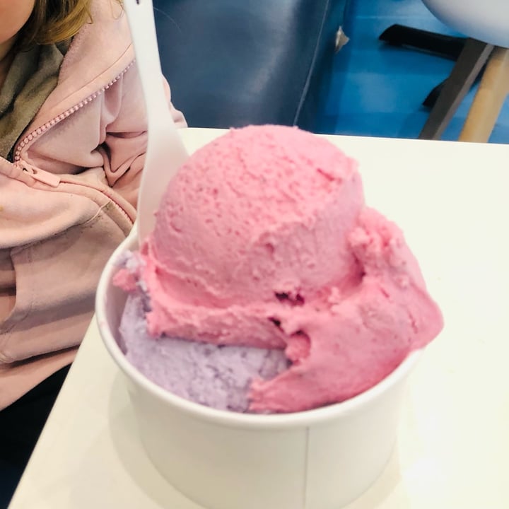 review photo of Heaven Creamery Taro With Coconut Milk shared by @happyveganmomma on 14 Dec 2022 - review
