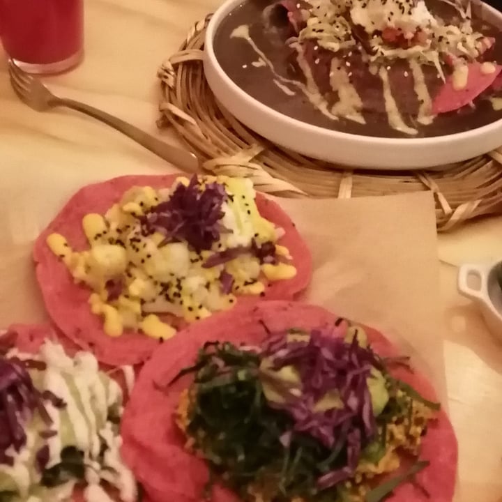 photo of La Pitahaya Vegana Enfrijoladas shared by @itzelpixel on  21 Jun 2020 - review