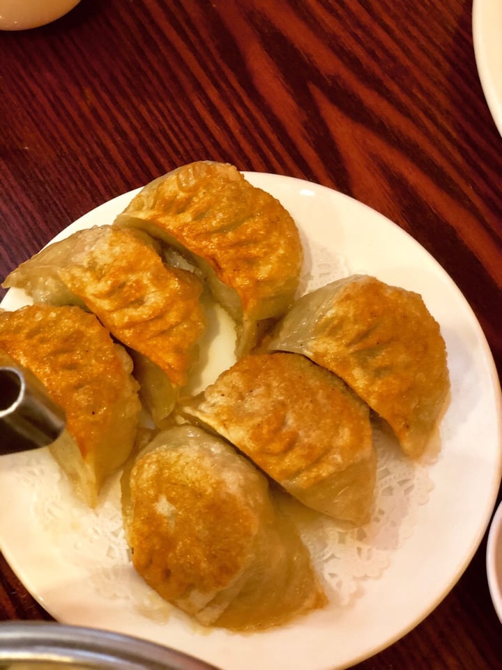 photo of Bodhi Kosher Vegetarian Restaurant Pan fried dumplings shared by @vegan-treehugger on  16 Jul 2019 - review