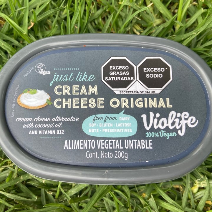 photo of Violife queso crema shared by @ilse on  05 Sep 2021 - review