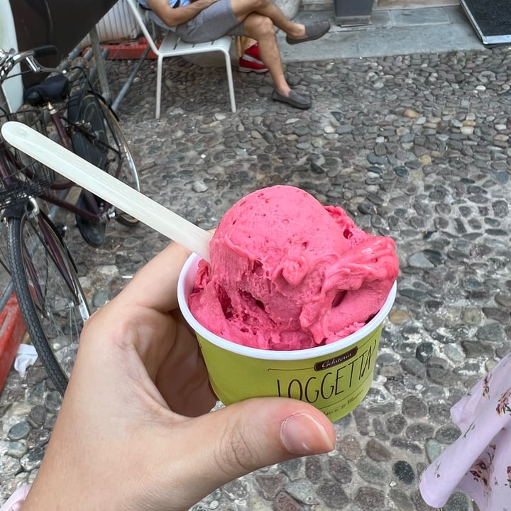 review photo of Gelateria Loggetta Coppetta Lampone shared by @lara96 on 15 May 2022 - review