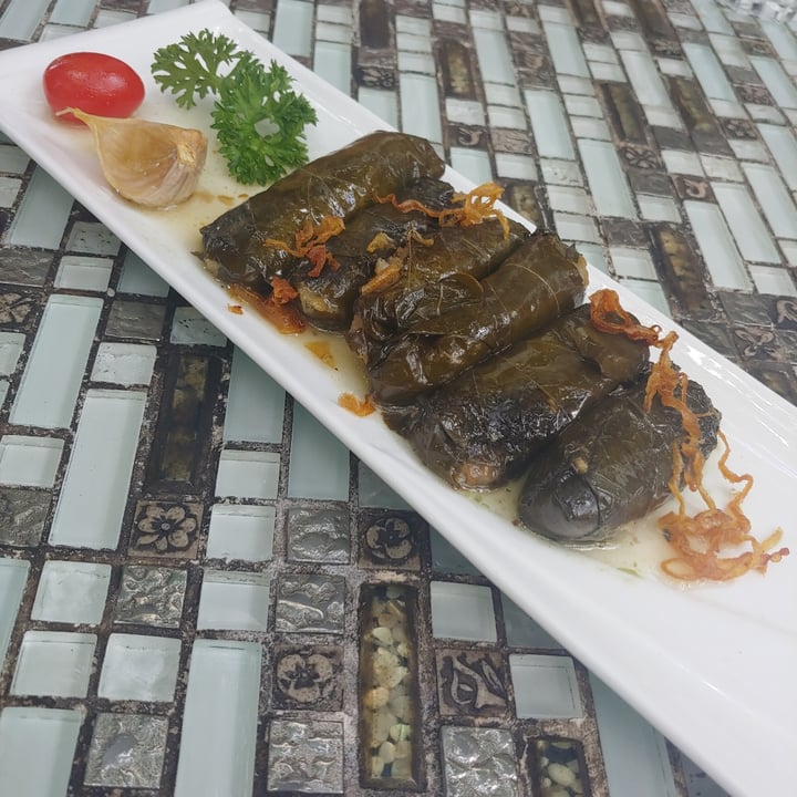 photo of Shabestan Dolma shared by @vegananu on  07 Feb 2021 - review