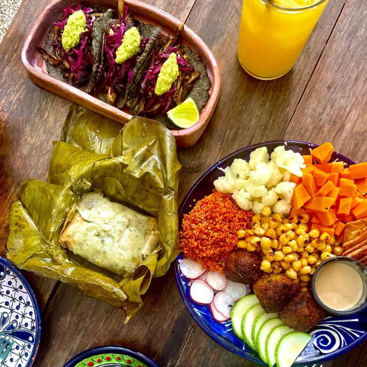 photo of Suculenta Tamaleria Buddah Bowl shared by @alexanderbrandrup on  28 Nov 2022 - review