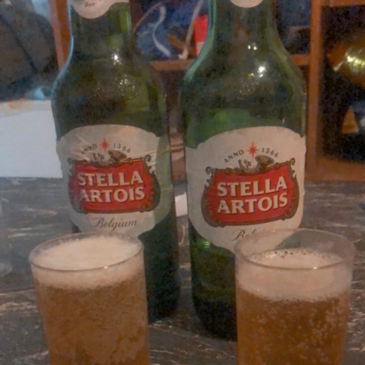 photo of Stella Artois Cerveza shared by @candevegg on  17 Feb 2021 - review