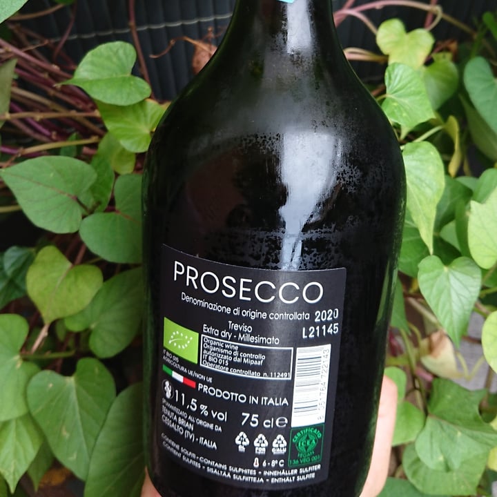 photo of Tenuta Brian Prosecco Biologico shared by @lucaf on  18 Jul 2021 - review