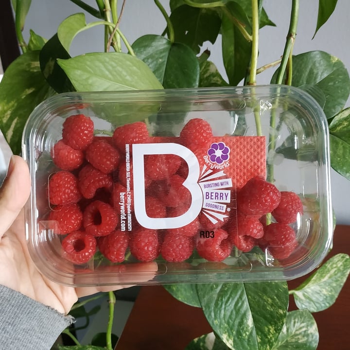 photo of Berryworld Frambuesas shared by @runa on  05 Oct 2021 - review