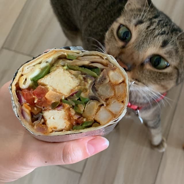 Photo of the dish “Vegan Burrito Tofu Ranchero”