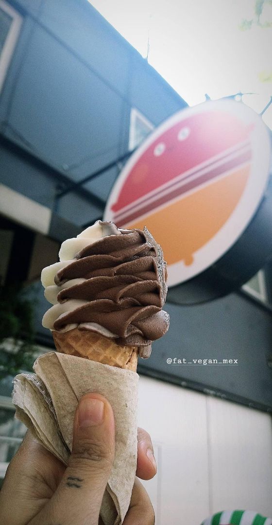 photo of Fat Vegan Cono Vainilla shared by @marianamd90 on  02 Mar 2020 - review