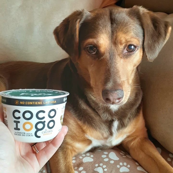 photo of Crudda Yogur a Base de Coco sabor Vainilla shared by @lalaveg on  07 Dec 2020 - review