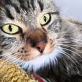 greta94 @greta94 profile image