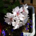 mary-zimm @mary-zimm profile image