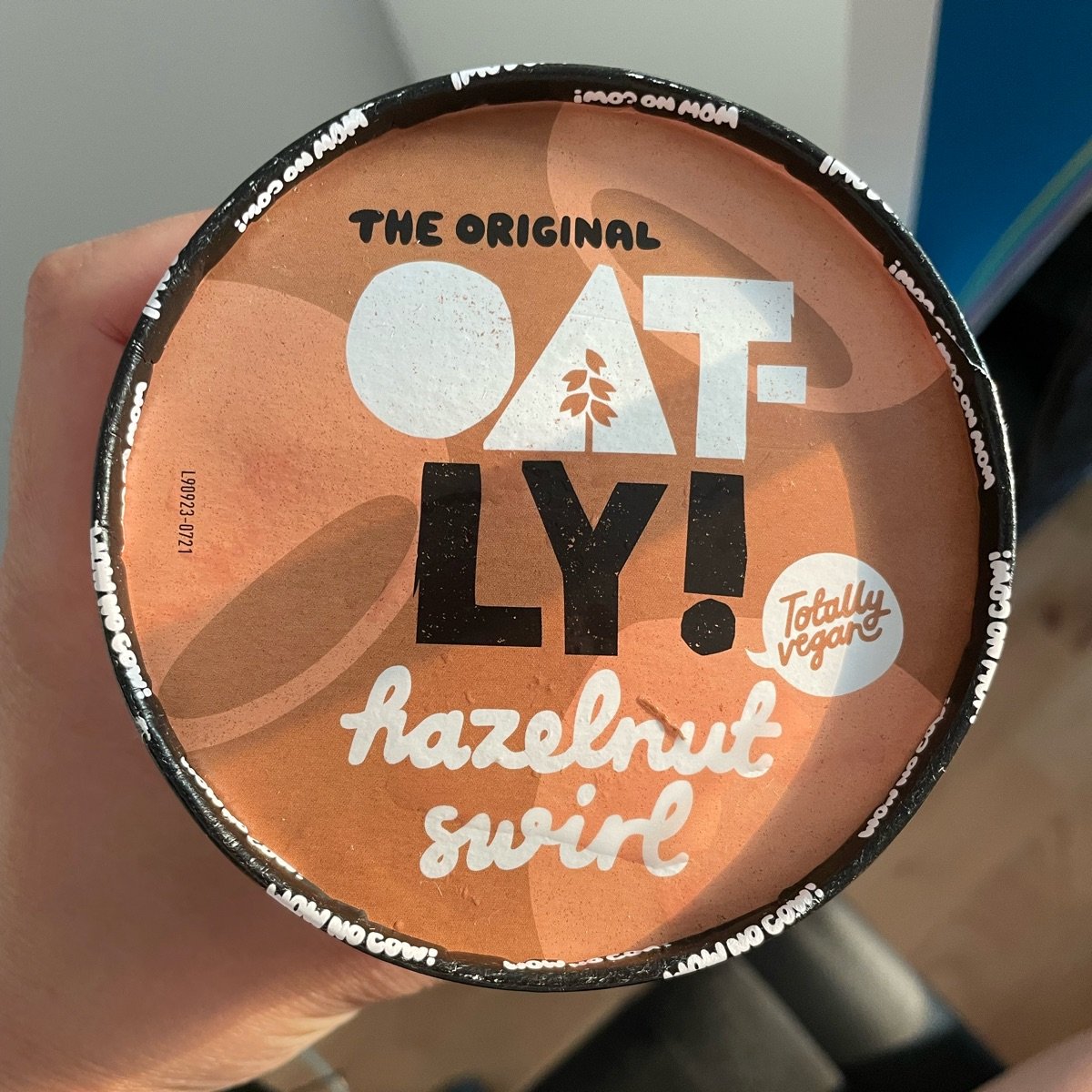 Oatly Hazelnut Swirl Ice Cream Review | abillion