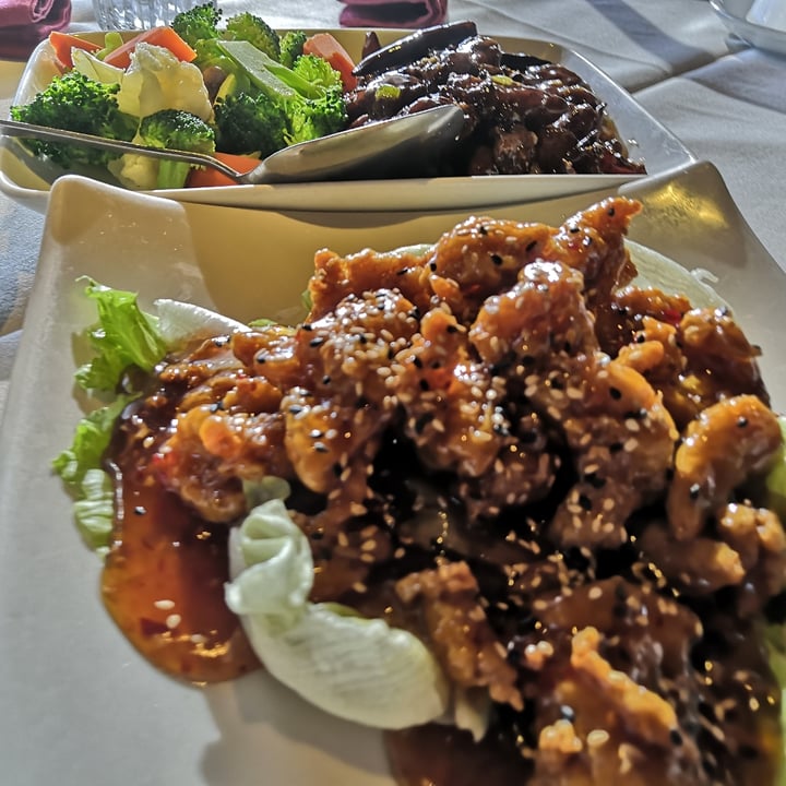 review photo of Imperial Chinese Seafood Soy Vegetarian Sesame Chicken shared by @melayala1 on 06 Nov 2020 - review