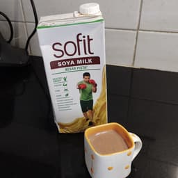 Sofit