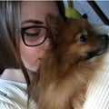 elena98 @elena98 profile image