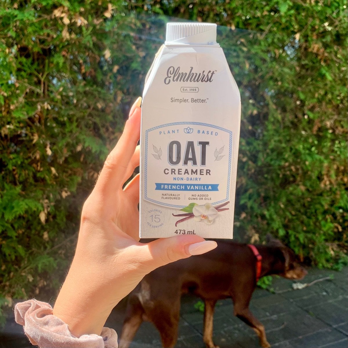 Elmhurst 1925 Oat Creamer French Vanilla Reviews abillion