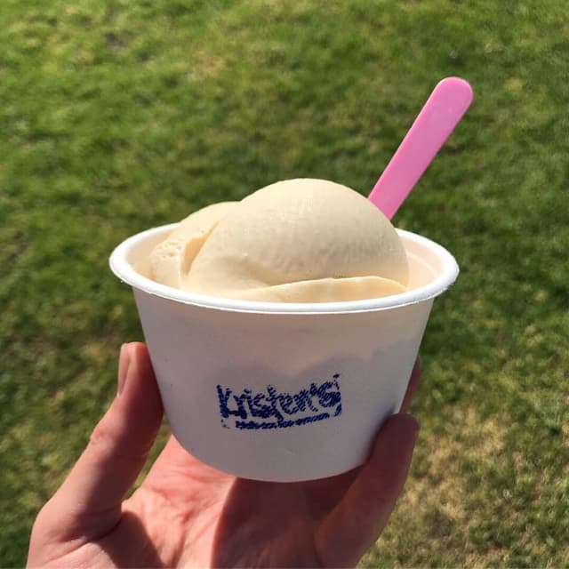 Photo of the dish “Vegan Peanut Butter Cup Ice Cream”