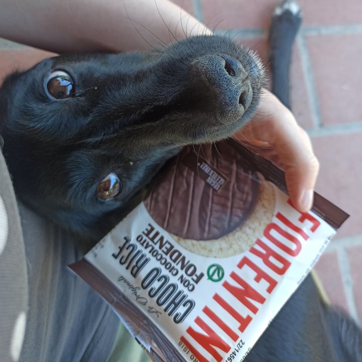 review photo of Fiorentini Choco Rice con cioccolato fondente shared by @engi00angi on 11 Jun 2022 - review