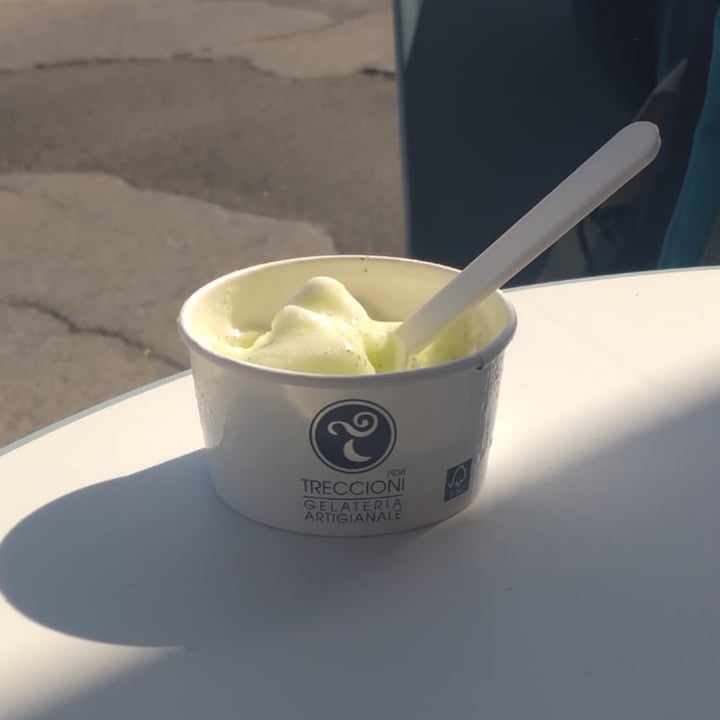 photo of Gelateria Treccioni yogurteria e dolceria gelato artigianale shared by @telisa on  01 Jul 2022 - review