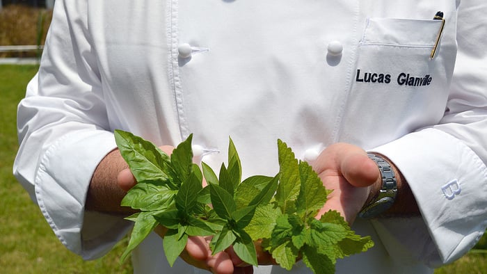 Chef Lucas with rooftop herbs