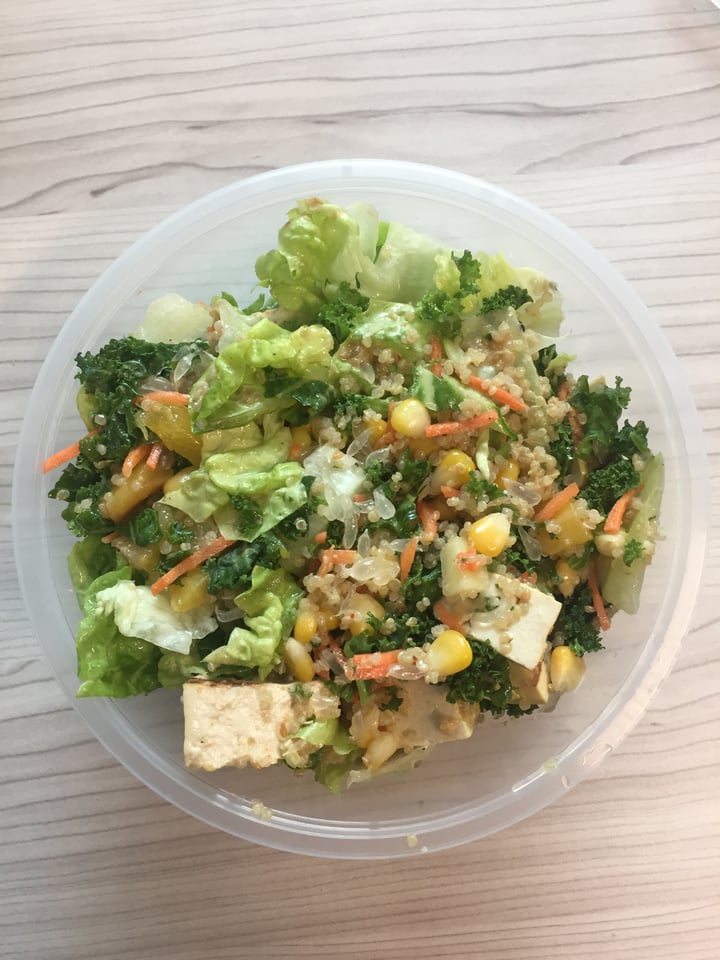 photo of SaladStop! Summer Fling Salad shared by @mrsgarg on  17 Jan 2018 - review