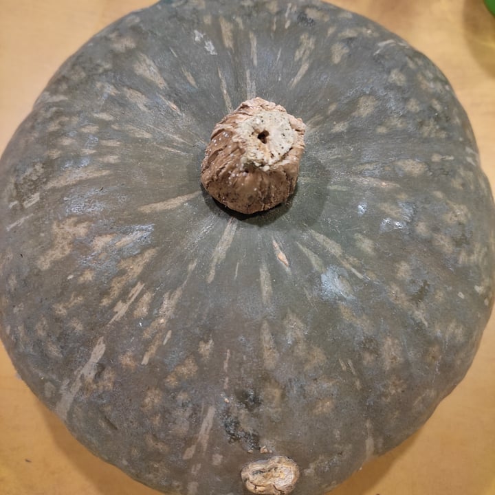 review photo of Agricola don camillo Zucca delica shared by @melybz on 29 Sep 2022 - review