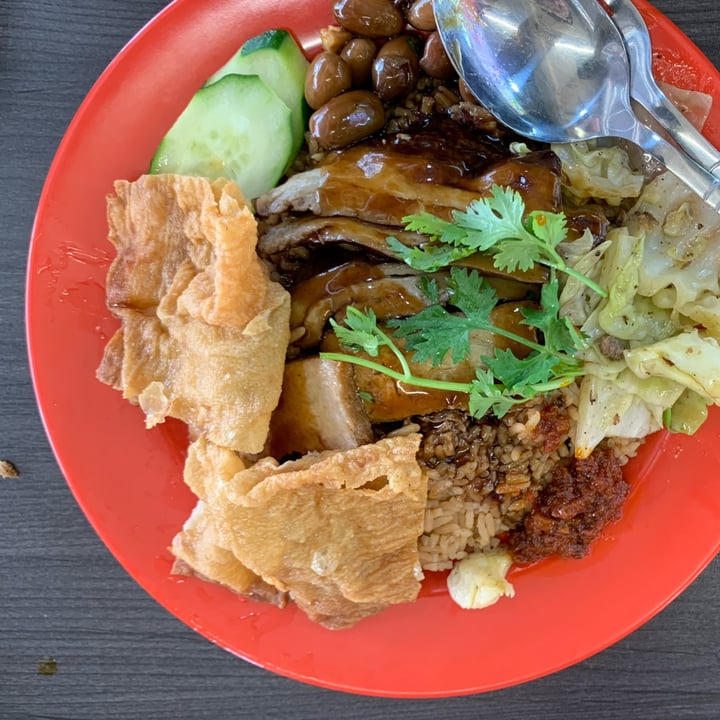photo of Makan Vegan Geylang Vegan Duck Rice shared by @nonya on  28 May 2022 - review