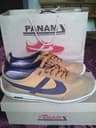 Panam