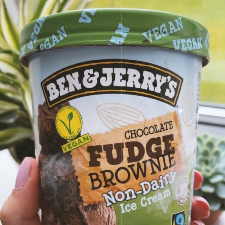 photo of Ben & Jerry's Chocolate Fudge Brownie Non-Dairy Ice Cream shared by @tessdallapria on  08 Dec 2021 - review