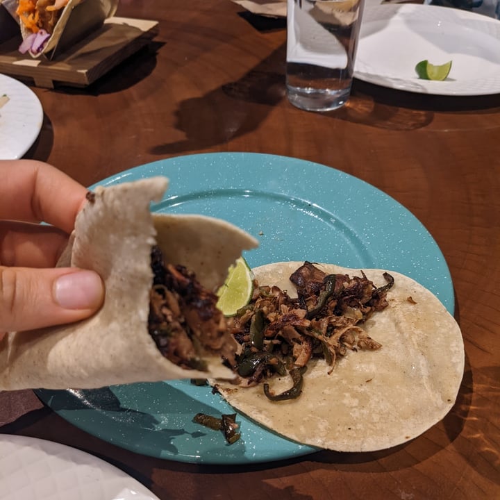 photo of The Green Place Mx Tacos shared by @michaelpearce on  27 May 2022 - review