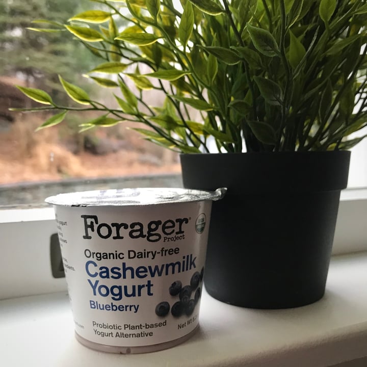 photo of Forager Project Blueberry Cashewmilk Yogurt shared by @michael93l on  06 Dec 2020 - review