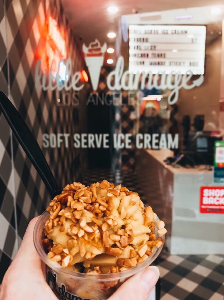 review photo of Little Damage Haji Lane Vegan mango sticky rice ice cream shared by @kindtree on 20 Jan 2020 - review
