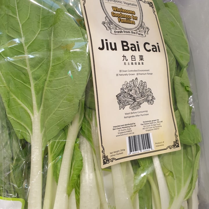 photo of Uncle Jack’s Hydroponic Vegetable Jiu Bai Cai shared by @ppyenlin on  08 May 2022 - review