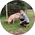 klindvall @klindvall profile image