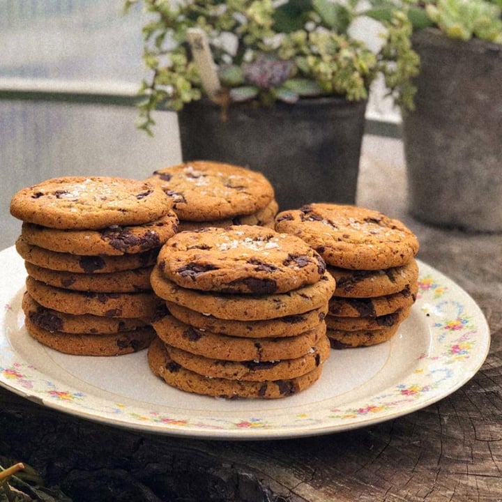 photo of Cardinal Provisions Salted Chocolate Chip Cookie shared by @jreg on  31 Mar 2022 - review