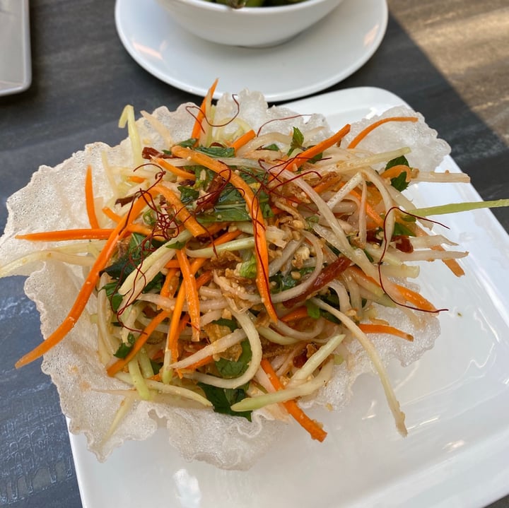 photo of Vevi Restaurant Papaya Salat (Goi Du Du) shared by @connychiwa on  04 Sep 2020 - review