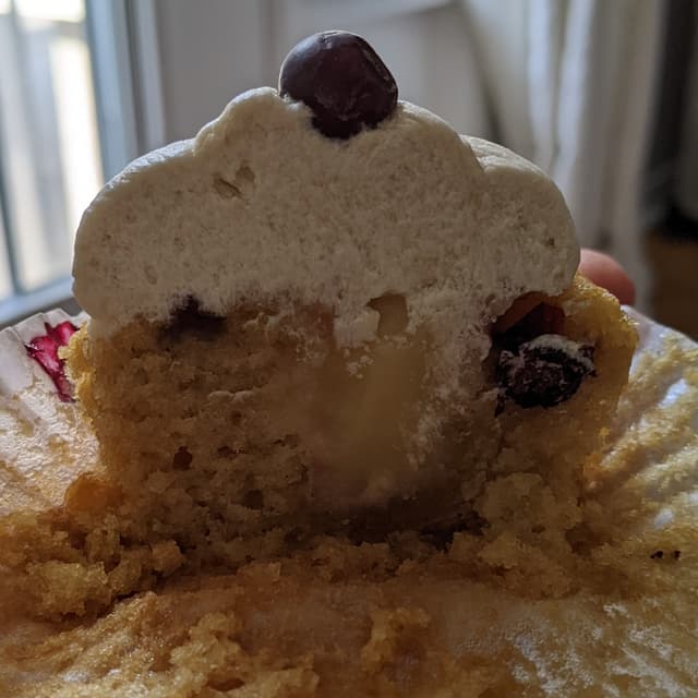 Photo of the dish “Blueberry Lemon Cupcake”