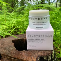 Chantecaille