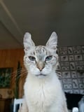 bewe @bewe profile image