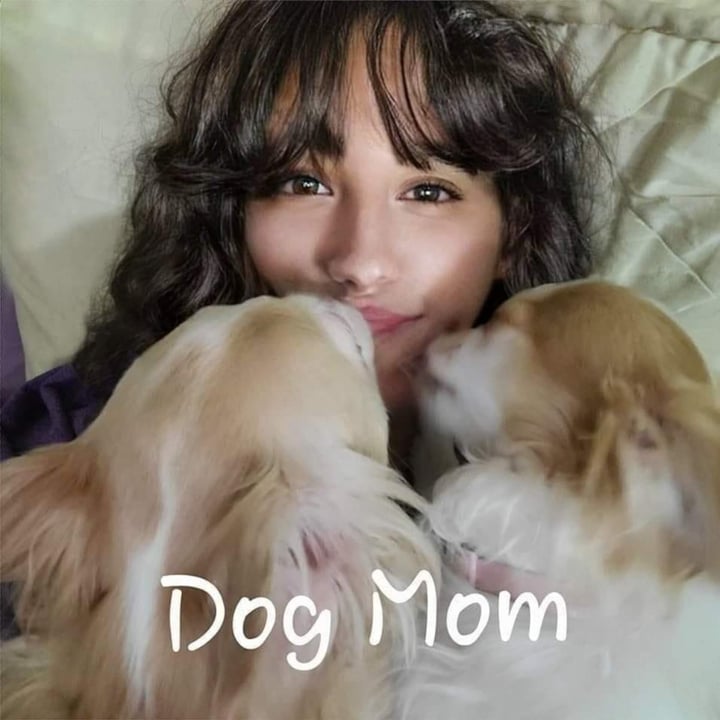 review photo shared by @chihuahua-mama on 09 Dec 2022 - post