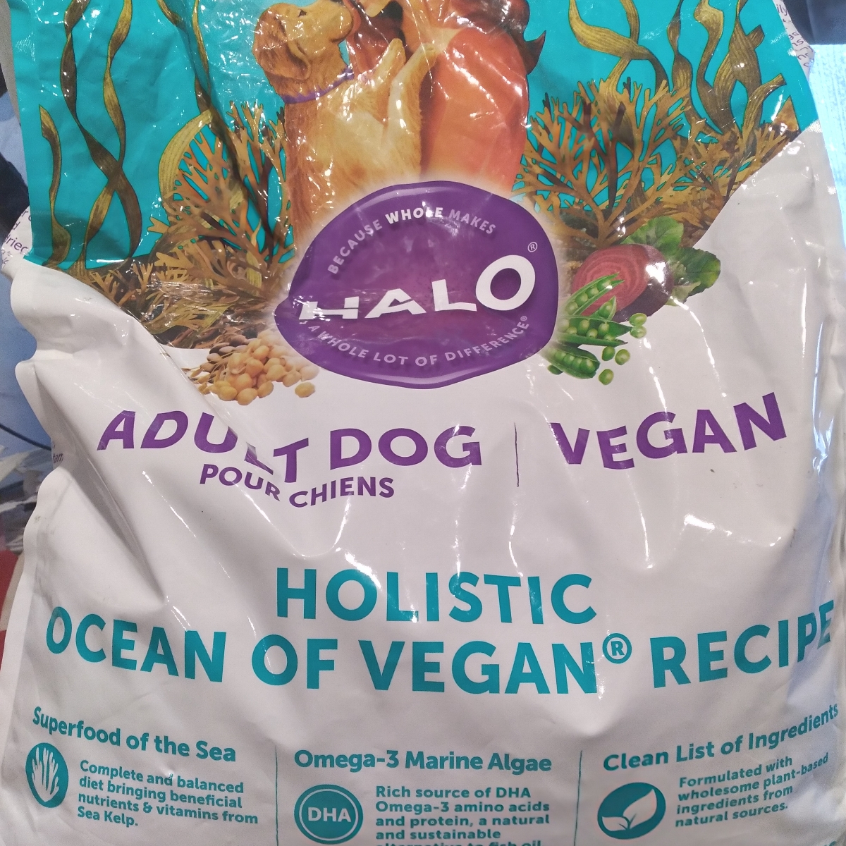 halo-halo-ocean-of-vegan-recipe-reviews-abillion