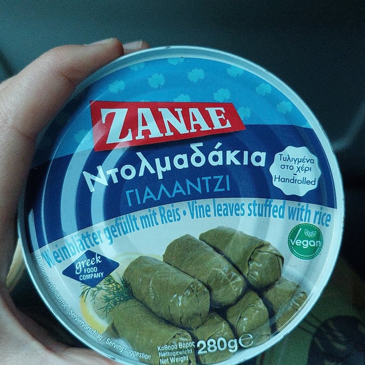 photo of Zanae Dolmadakia (Involtini Di Riso In Foglie Di Vite) shared by @anetxuu10 on  22 Oct 2022 - review