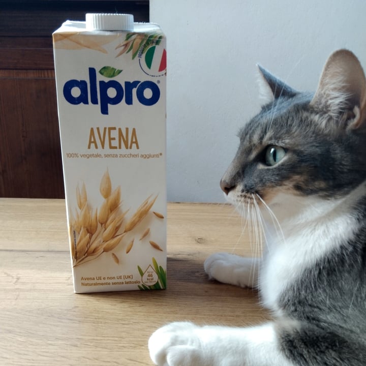 photo of Alpro Alpro All' Avena shared by @cami90 on  14 Oct 2022 - review