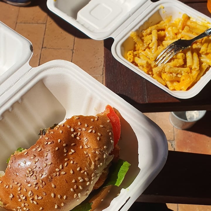 photo of Plant - Camps bay Mac and cheese shared by @chickpeaandmushroom on  28 Jul 2020 - review