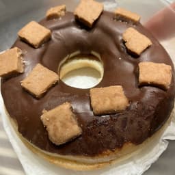 Ziggy Star Donuts Vegano