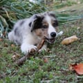 virginiarossopantusa @virginiarossopantusa profile image